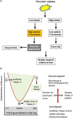 Ozone Layer Depletion and Emerging Public Health Concerns - An Update on Epidemiological Perspective of the Ambivalent Effects of Ultraviolet Radiation Exposure